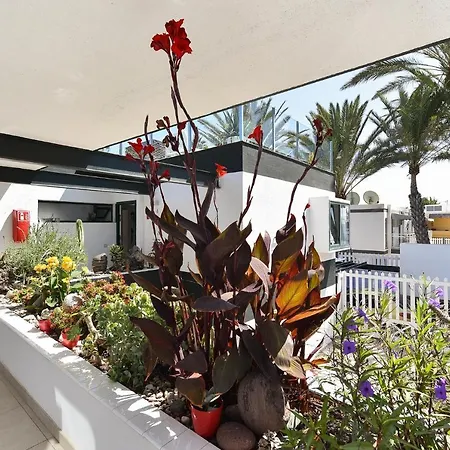 Apartmán Charca 1 Maspalomas (Gran Canaria)